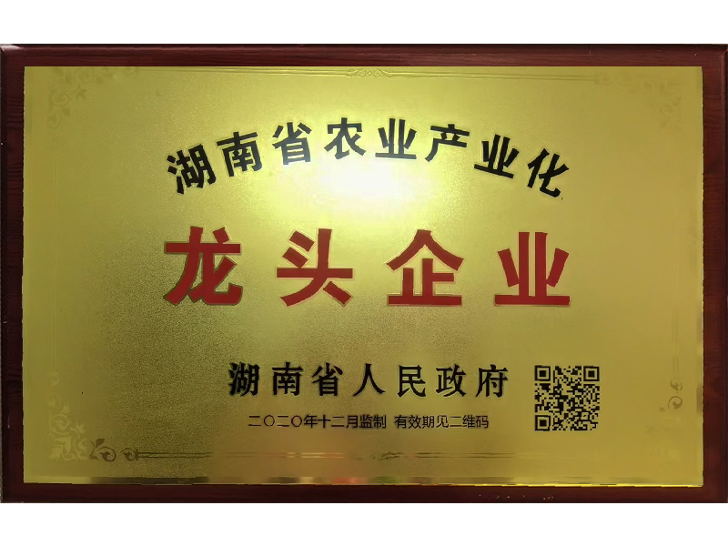 岳陽市漁之源食品有限公司,岳港漁都,洞庭魚港,散稱系列,田螺系列,臭豆腐加工，香豆腐加工，烤脖加工，魚仔,鴨排加工、雞丁加工代加工